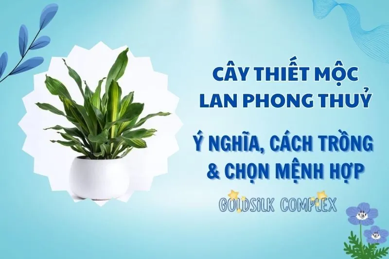 Cây thiết mộc lan phong thủy 2025: Ý nghĩa, cách trồng và chăm sóc